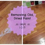 How To Remove Dry Paint From Wood Floor