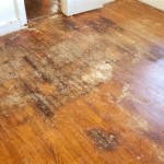 Water Damage To Wood Floor